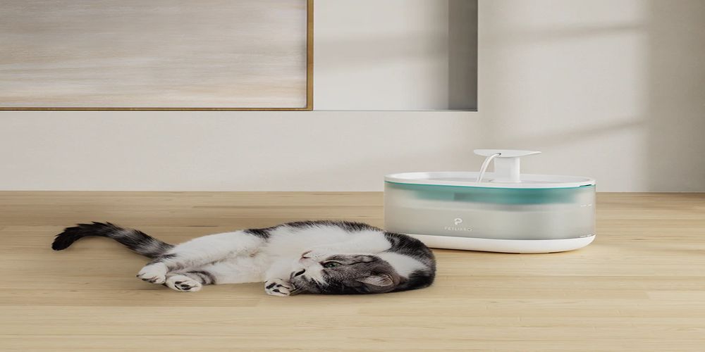 When is the Best Time to Buy a Cat Automatic Water Fountain?