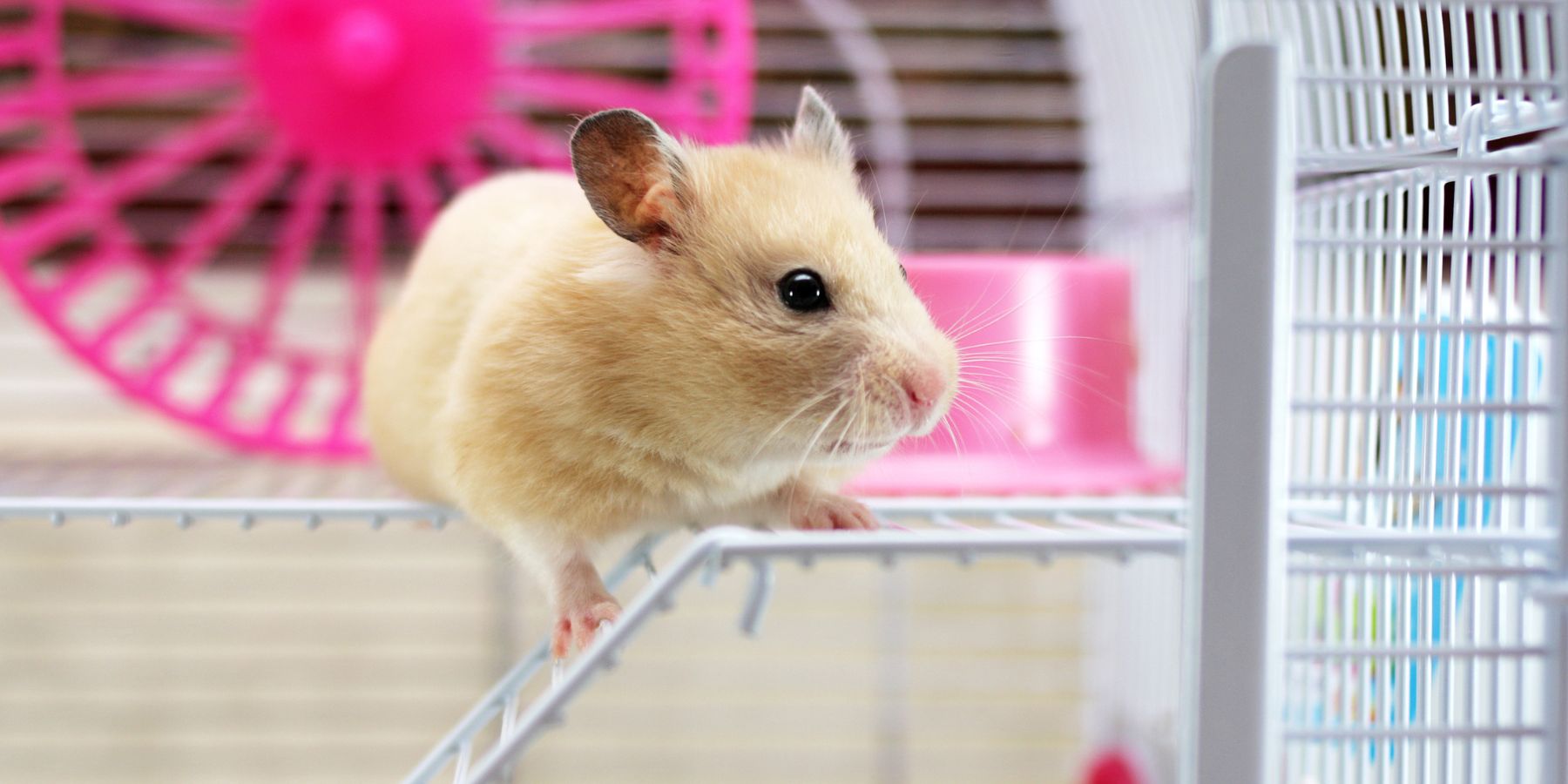 Dry Mouth Dilemmas - Causes and Solutions Understanding Dry Mouth