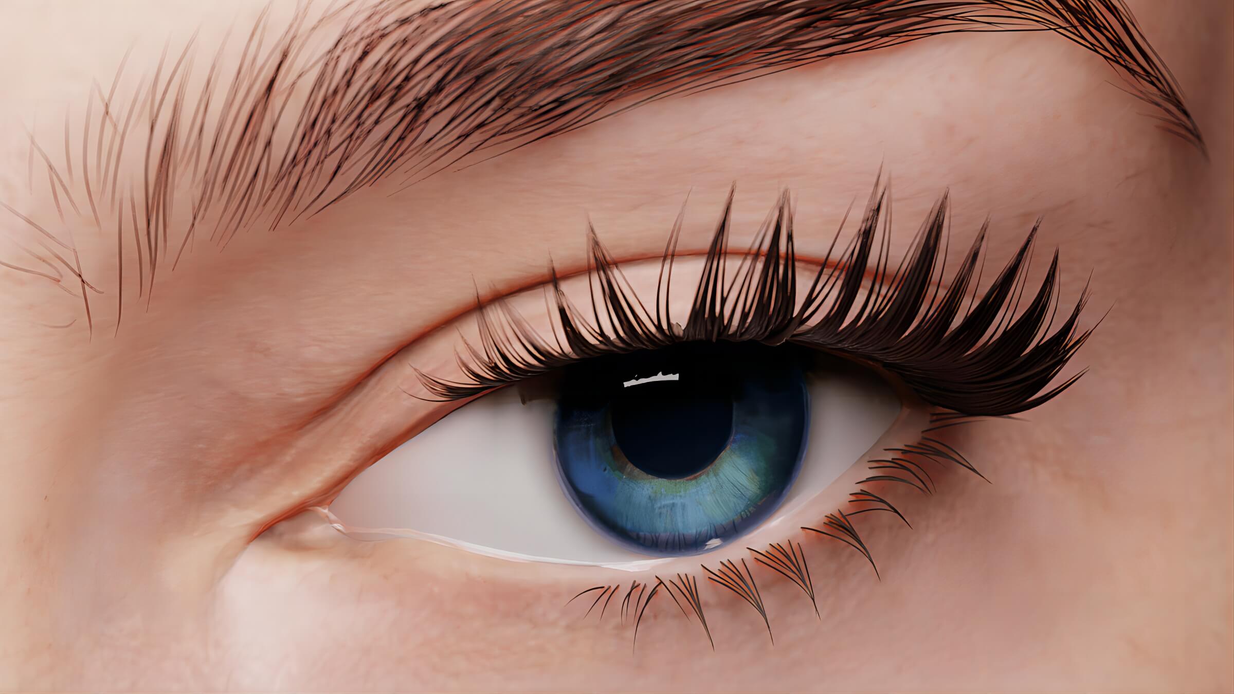 How To Choose, Apply And Care For False Eyelashes?