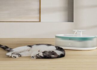 When is the Best Time to Buy a Cat Automatic Water Fountain?