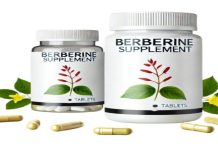 Exploring the Safety and Side Effects of Dihydroberberine